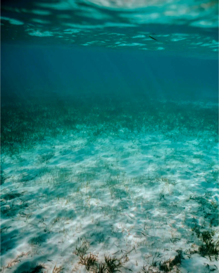 2008-2009, Resource Decisions, Marine Aggregates Levy Sustainability Fund (MALSF), Aggregate Supply as part of a sustainable mix
